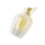 New Design 30ml 50ml 100ml Pump Perfume Spray Bottle With Golden Beak Lid | Honghua Glass